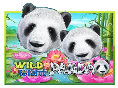 Wild Giant Panda ส กาย สปอร์ต สล็อต